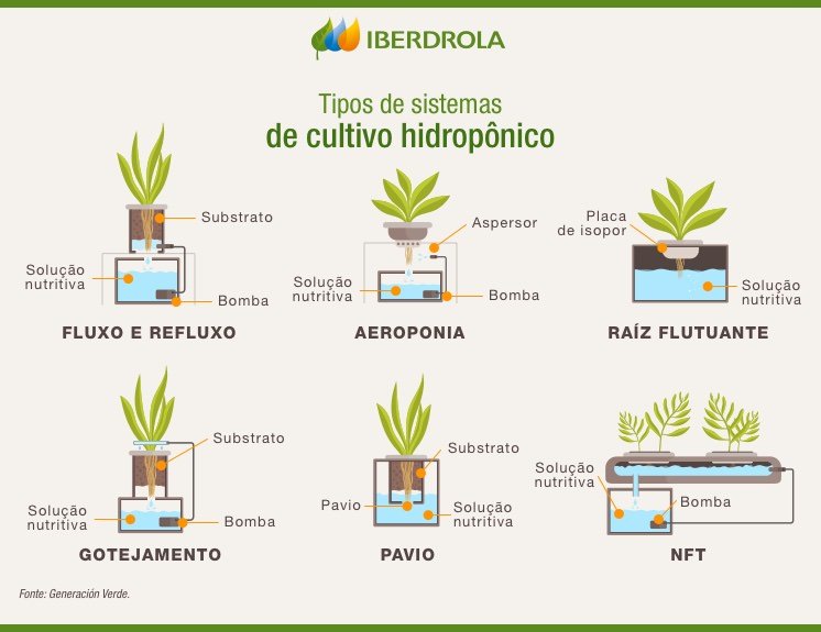 Hidroponia O Que E As Principais Vantagens