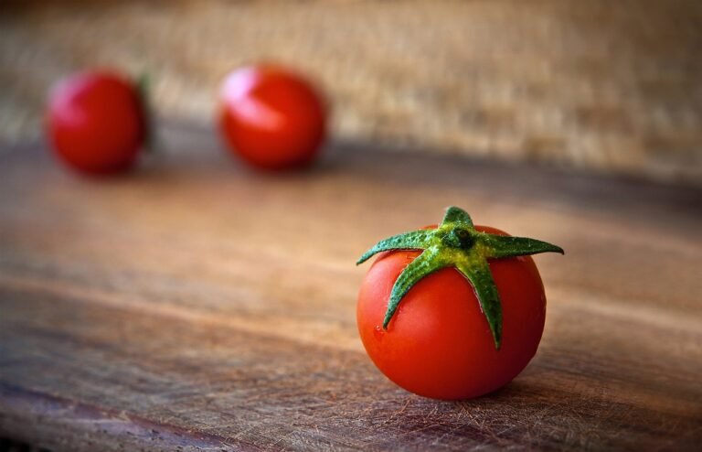 Hidroponia Tomate