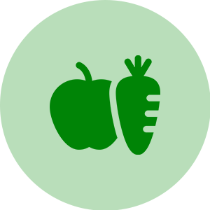 icon 12