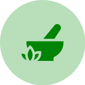 icon 13