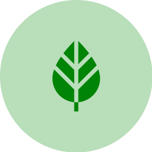 icon 14