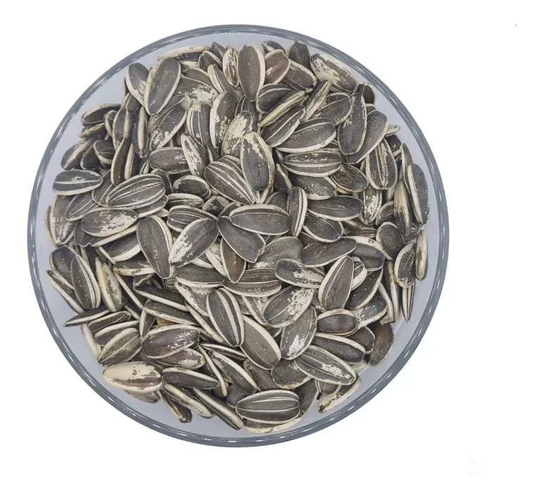 1kg Sementes Grande De Girassol Para Plantio