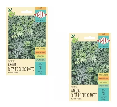 Kit 2x Sementes Arruda Ruta De Cheiro Forte Sem Agrotóxico Isla