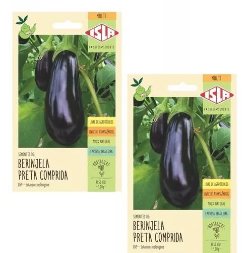 Kit 2x Sementes Berinjela Preta Comprida Sem Agrotóxico Isla