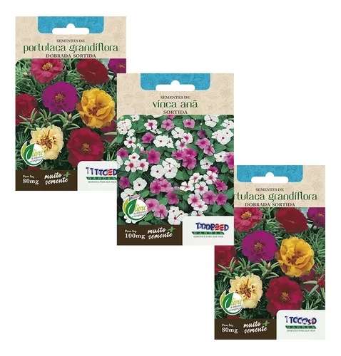 Kit 70 Sementes Flor Maria Sem Vergonha + 1200 De 11 Horas