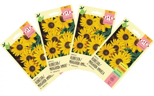 Kit com 4 Pacotes de Sementes De Margarida Rudbeckia (amarela) Isla