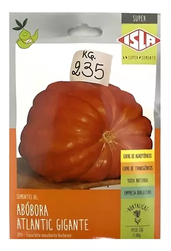 Sementes De Abóbora Atlantic Gigante Isla Pacote 3 Gramas