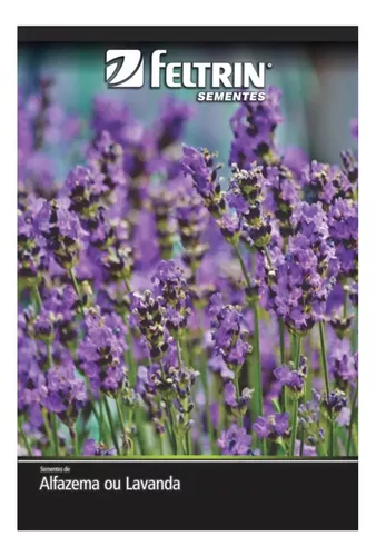 Sementes De Alfazema Ou Lavanda