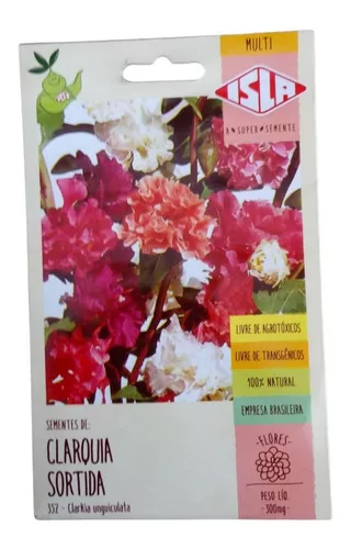 Sementes De Clárquia Sortida Flor
