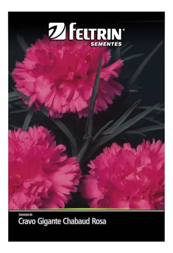 Sementes De Cravo Gigante Chabaud (rosa) Feltrin