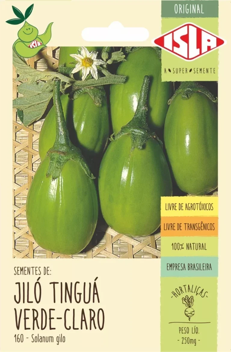 Sementes De Jiló Tinguá Verde claro Hoje