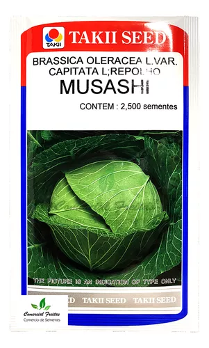 Sementes De Repolho Híbrido Musashi Env. com 2.500 Sementes