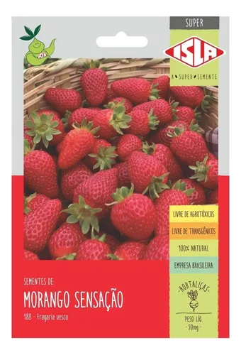 Sementes Morango Sensação Sem Agrotóxico Isla