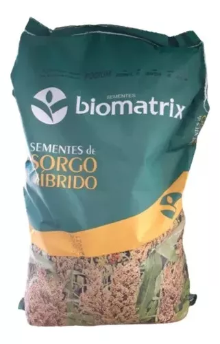 Sementes Sorgo Podium Biomatrix Melhor Opção Sorgo Silageiro
