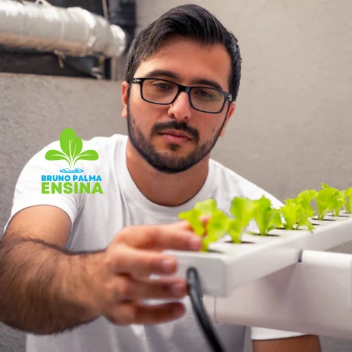 bruno palma curso hidroponia